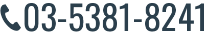 03-5381-8241
