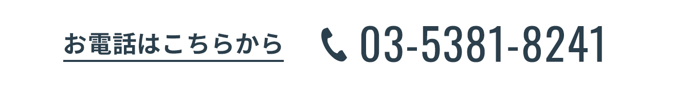 03-5381-8241